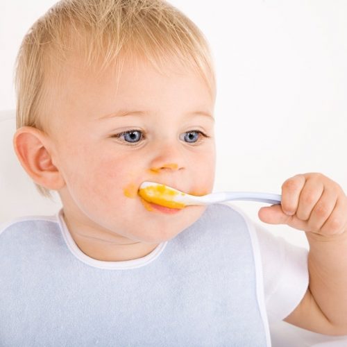 Введення прикорму. З чого починати?